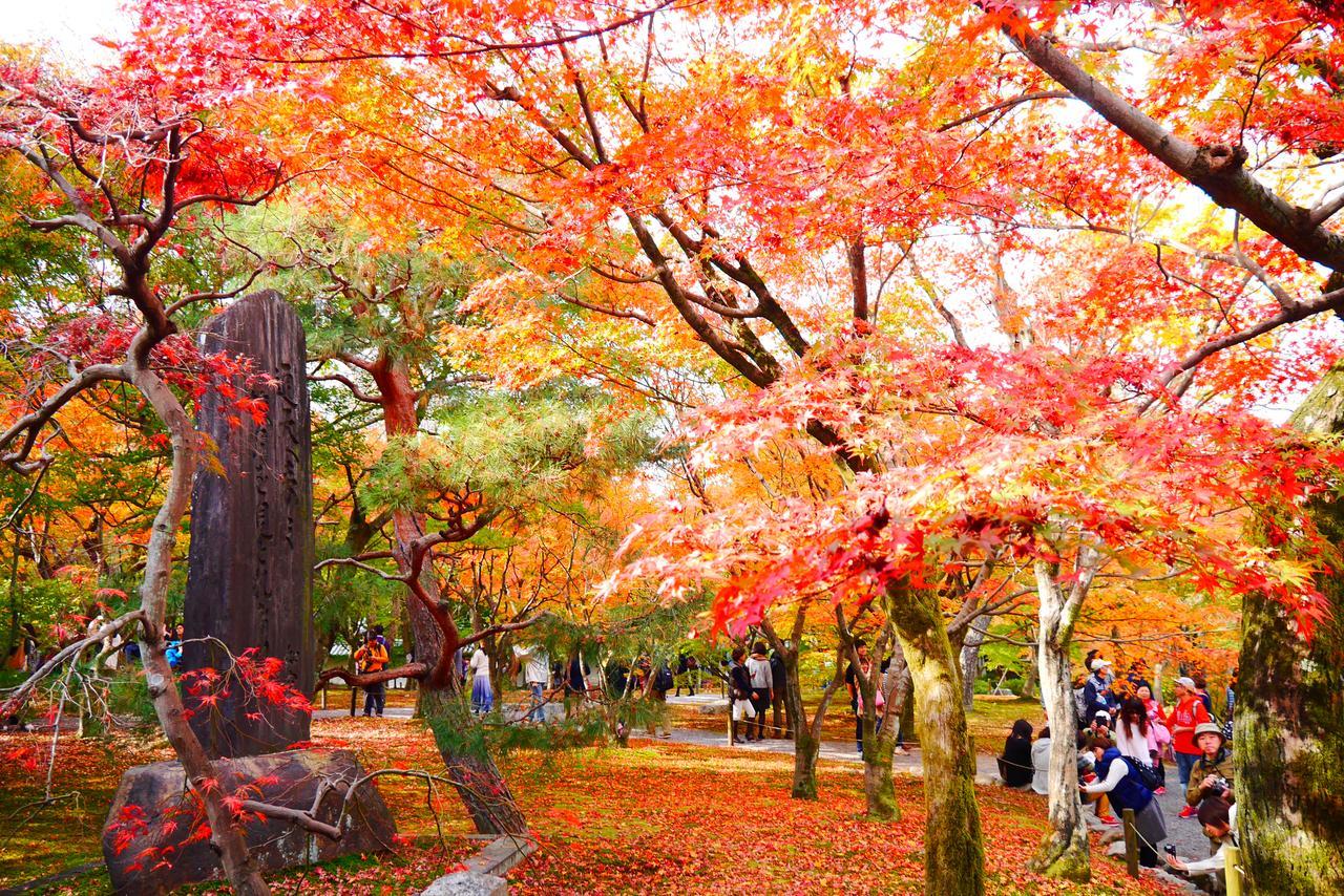 Japaning Hotel Libre Tofukuji Kyoto Eksteriør billede