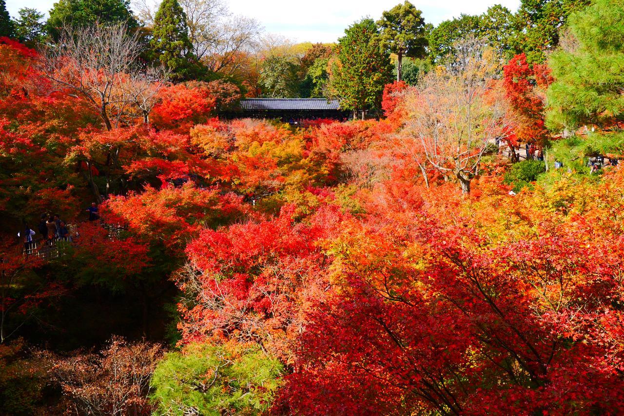 Japaning Hotel Libre Tofukuji Kyoto Eksteriør billede